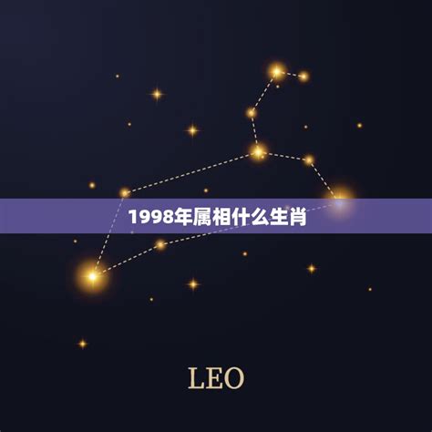 98年屬什麼|98年属什么命 98年属什么生肖的命